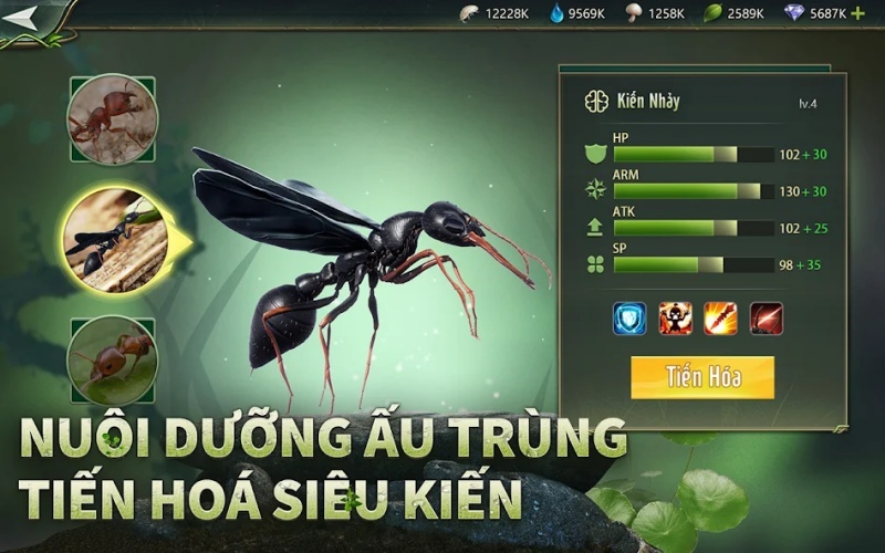 Đào tạo và huấn luyện chiến binh kiến 