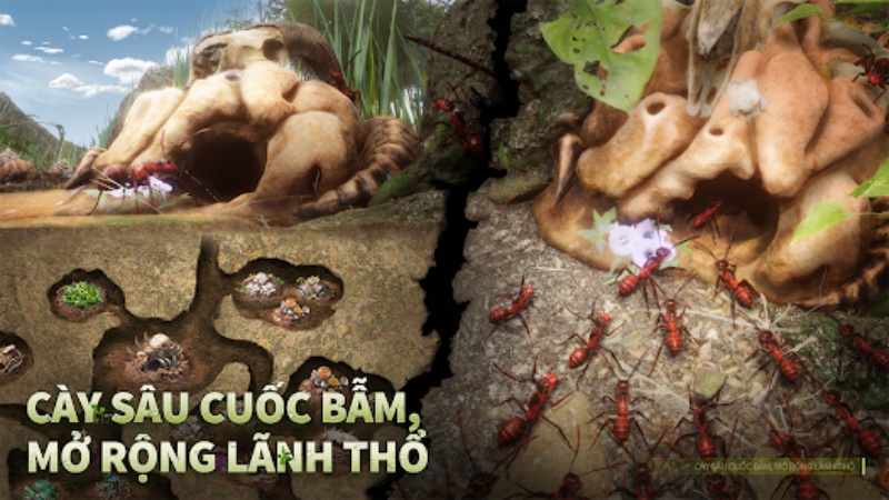 Lãnh đạo đế chế kiến của bạn 