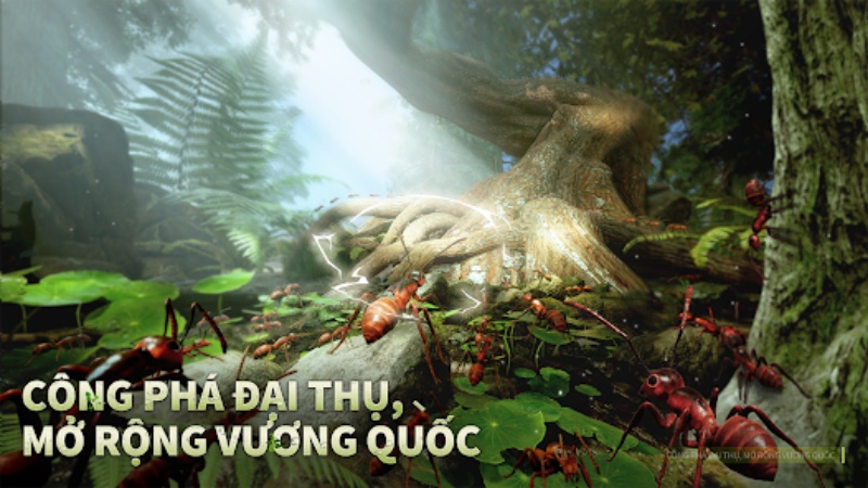 Thám hiểm thế giới kiến trong lòng đất 