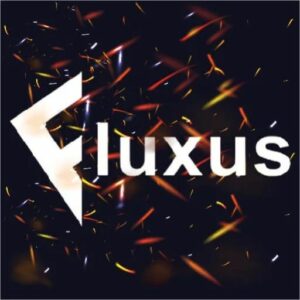 Tải Hack Fluxus VNG (Blox Fruit, Roblox) V62 Cho Android