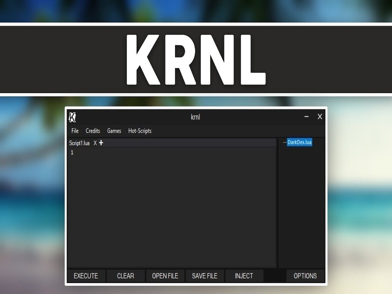Điểm Nổi Bật Trong Hack KRNL ROBLOX VNG